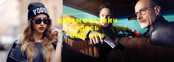 индика Краснослободск