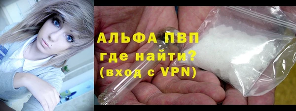индика Краснослободск