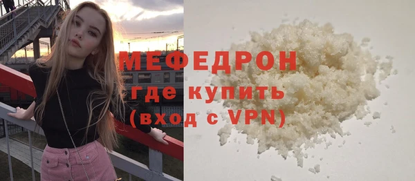 индика Краснослободск
