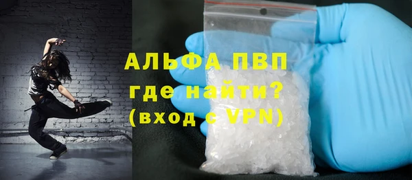 индика Краснослободск