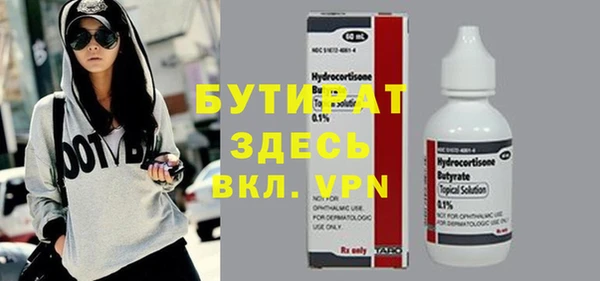 индика Краснослободск