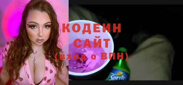 индика Краснослободск