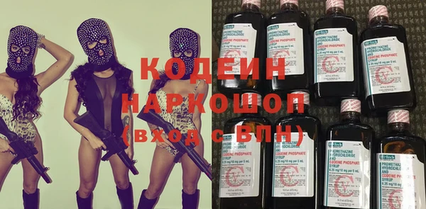 индика Краснослободск