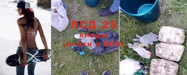 индика Краснослободск