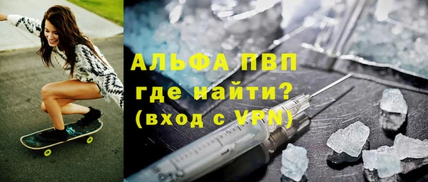 индика Краснослободск