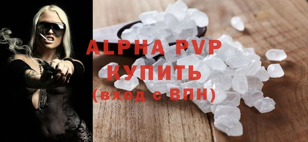 индика Краснослободск