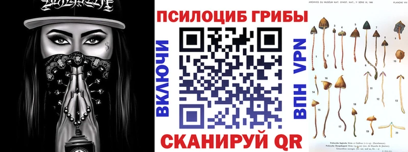 наркотики  Пустошка  Галлюциногенные грибы MAGIC MUSHROOMS 